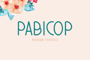 Enhance Your Web Design with Pabicop, the Clean Display Font